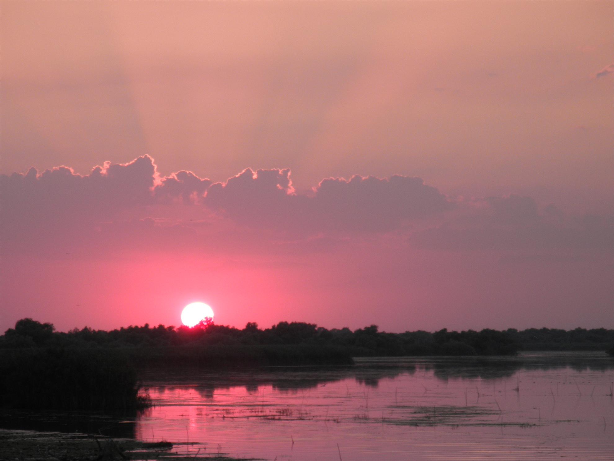 Delta - relaxare - p7280137.JPG